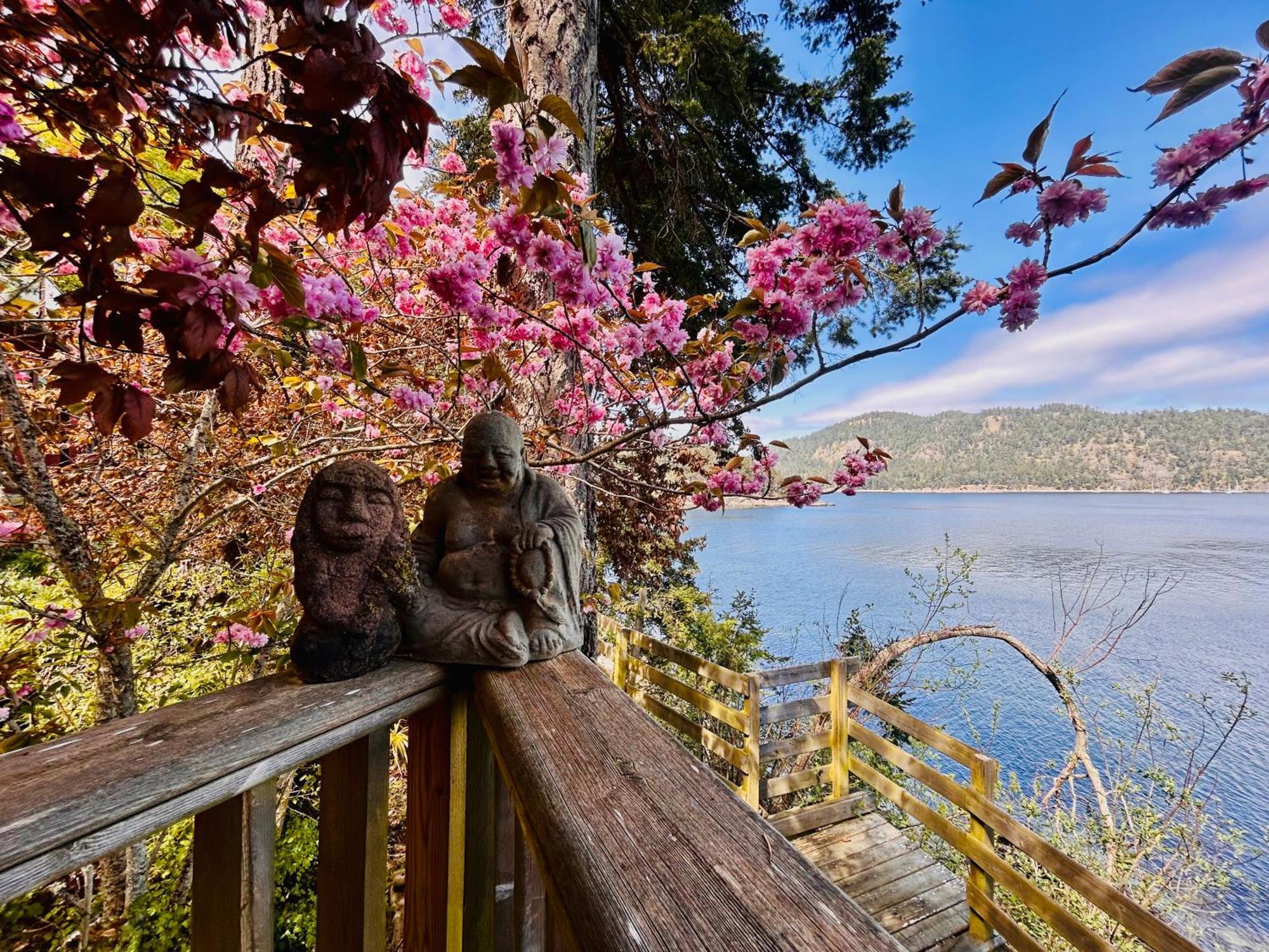 Shangrila Waterfront Vacation Home Bedwell Harbour Extérieur photo